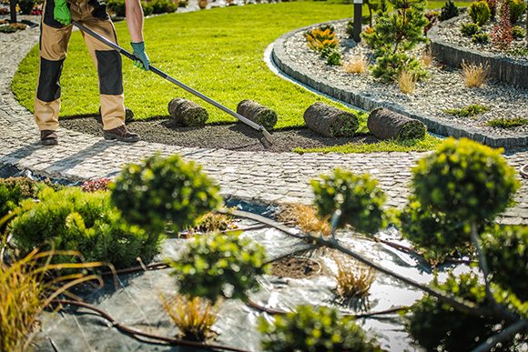 Landscaping in Woodland Park, CO