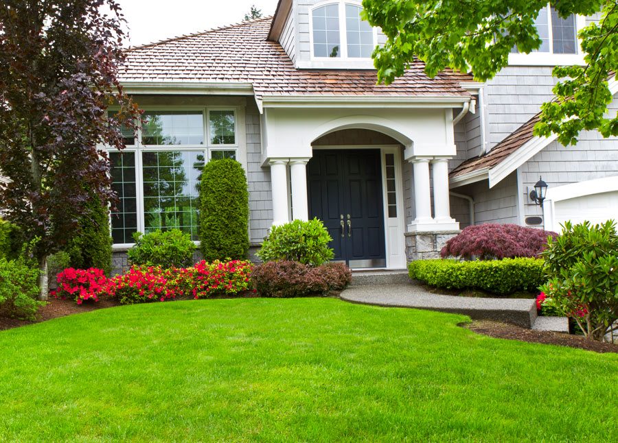 Landscaping in Colorado Springs